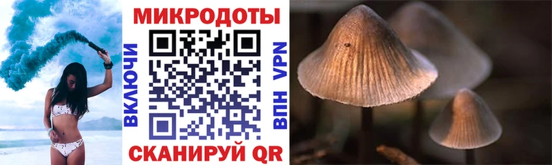Купить  Углегорск  Галлюциногенные грибы мицелий 